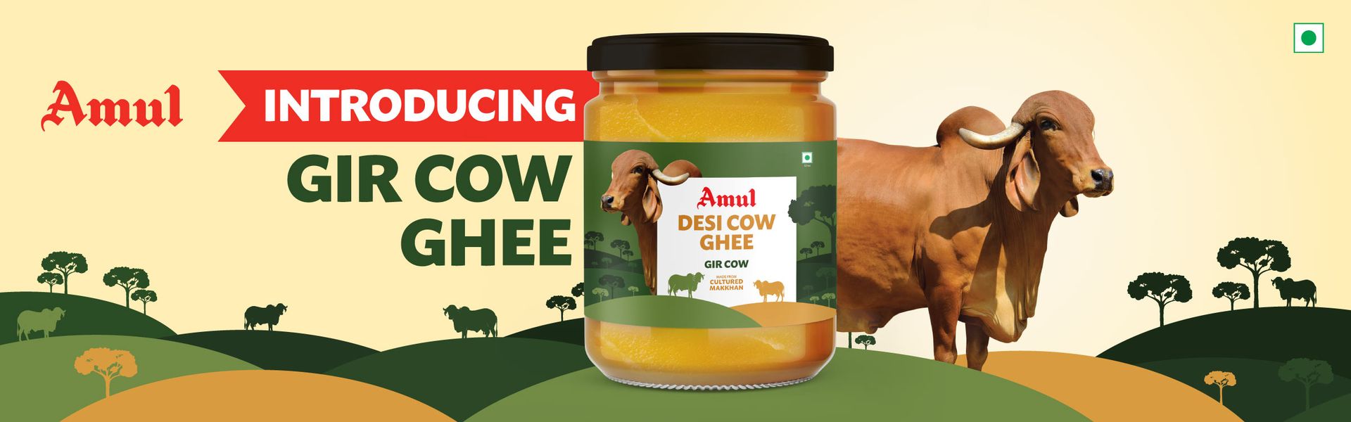 Amul Gir Desi Cow Ghee Jar